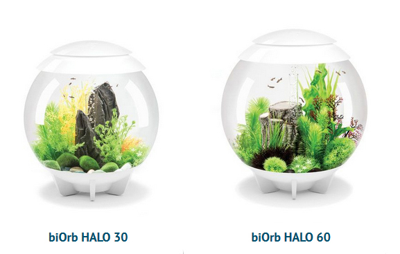 biOrb HALO modely LED