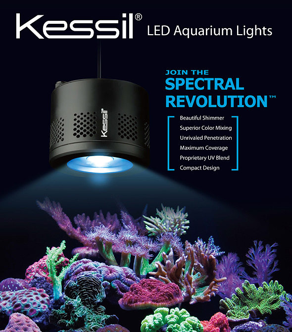 Kessil lighting profesionální osvětlení pro akvaristiku