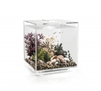 biOrb CUBE 60 LED transparent, 72024