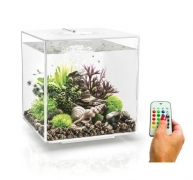 biOrb CUBE 60 MCR white, 72028