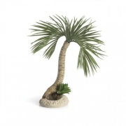 biOrb palma Seychelles L - palm tree Seychelles, 72680