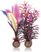 biOrb dekorativní rostliny - pírka M - parrots feather M, 55079