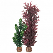biOrb dekorativní rostliny fialová a olivově zelená - seapearls & kelp olive green, 55073