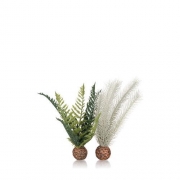 biOrb dekorativní kapradiny šedá a zelená S - thistle fern grey/green S, 55075