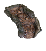 Bermuda potůček/vodopád Ghyll