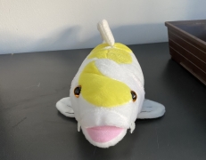 Kohaku - plyšový koi, žlutý