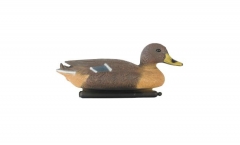Velda - Plovoucí divoká kačenka se žlutým zobákem