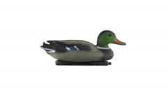 Velda - Plovoucí divoký kačer s oranžovým zobákem