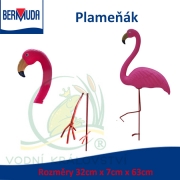 Růžový plameňák