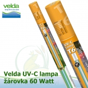 Originální T6 žárovka, lampa Velda 60 Watt pro UVC 2-Stream Power 60 Watt