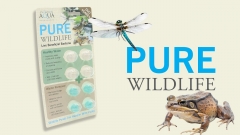 Evolution Aqua Pure wildlife + Duo care +, pro malé jezírko bez filtrace