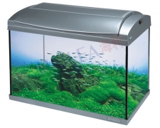 Hailea Akvarijní komplet F60, stříbrné, akvárium 60 litrů s krytem + ZDARMA osvětlení + filtrace se vzduchováním