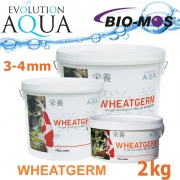 EA Wheatgerm, celoroční krmivo pro malé a menší rybky, velikost 3-4 mm, balení 2000g