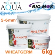 EA Wheatgerm, celoroční krmivo pro střední a velké rybky, velikost 5-6 mm, balení 6 kg