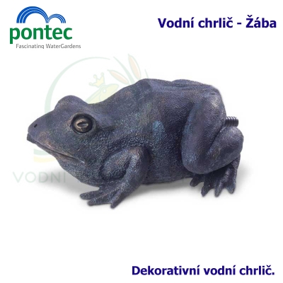 Wate Spout Frog - Vodní chrlič žába