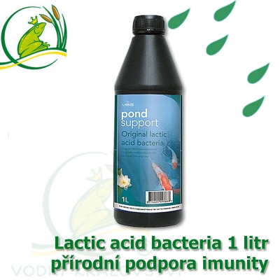 Lactic Acid Bacteria