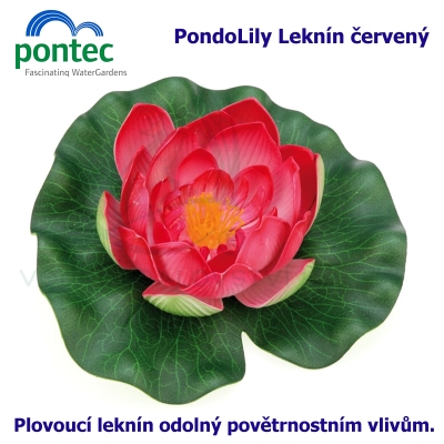Pontec PondoLily - Leknín  červený