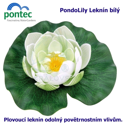 Pontec PondoLily - Leknín bílý
