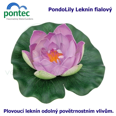 Pontec PondoLily - Leknín fialový