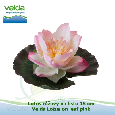 Lotos růžový na listu 15 cm - Velda Lotus on leaf pink