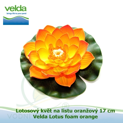 Lotosový květ na listu oranžový 17 cm - Velda Lotus foam orange