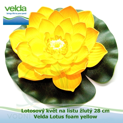 Lotosový květ na listu žlutý 28 cm - Velda Lotus foam yellow
