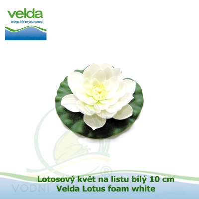 Lotosový květ na listu bílý 10 cm - Velda Lotus foam white