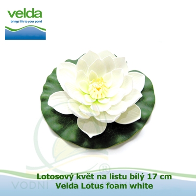 Lotosový květ na listu bílý 17 cm - Velda Lotus foam white