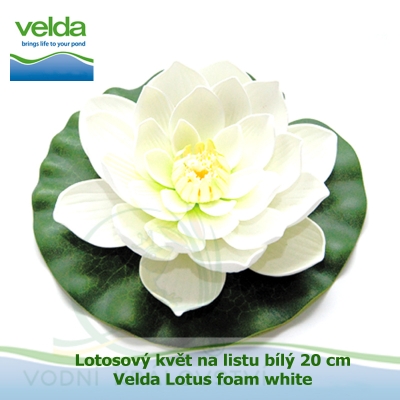 Lotosový květ na listu bílý 20 cm - Velda Lotus foam white