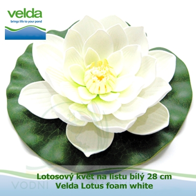 Lotosový květ na listu bílý 28 cm - Velda Lotus foam white