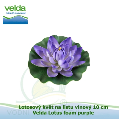 Lotosový květ na listu vínový 10 cm - Velda Lotus foam purple