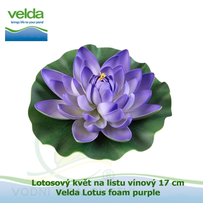 Lotosový květ na listu vínový 17 cm - Velda Lotus foam purple