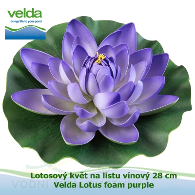 Lotosový květ na listu vínový 28 cm - Velda Lotus foam purple