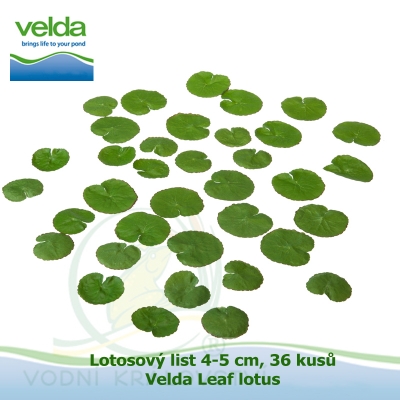 Lotosový list 4-5 cm, 36 kusů - Velda Leaf lotus