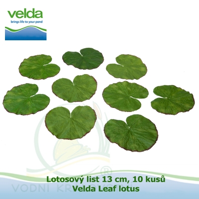Lotosový list 13 cm, 10 kusů - Velda Leaf lotus