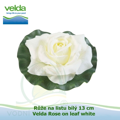 Růže na listu bílý 13 cm - Velda Rose on leaf white