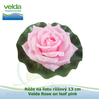 Růže na listu růžový 13 cm - Velda Rose on leaf pink