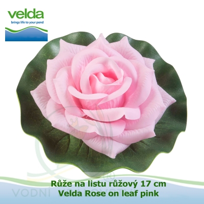 Růže na listu růžový 17 cm - Velda Rose on leaf pink