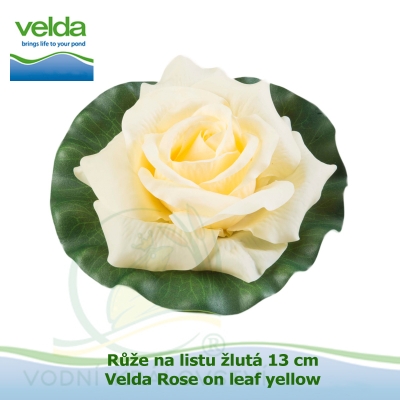 Růže na listu žlutá 13 cm - Velda Rose on leaf yellow