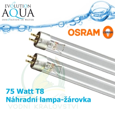 Náhradní lampa-žárovka 75 Watt pro EVO 75