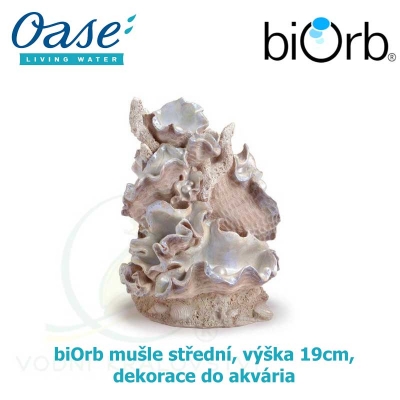 biOrb mušle střední, výška 19cm, dekorace do akvária