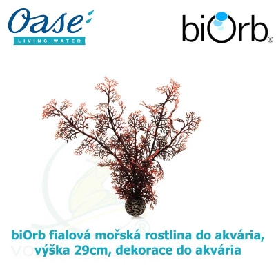 biOrb fialová mořská rostlina do akvária, výška 29cm, dekorace do akvária