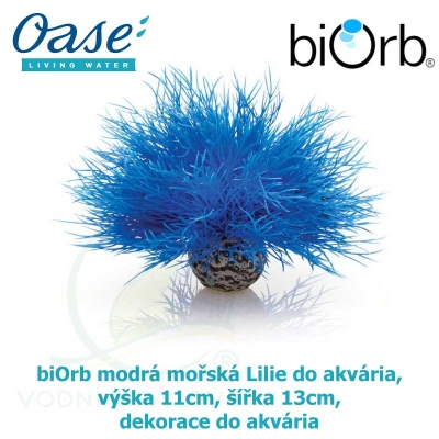 biOrb modrá mořská Lilie do akvária, výška 11cm, šířka 13cm dekorace do akvária