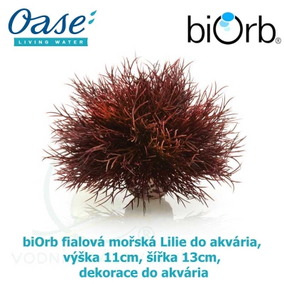 biOrb fialová mořská Lilie do akvária, výška 11cm, šířka 13cm dekorace do akvária