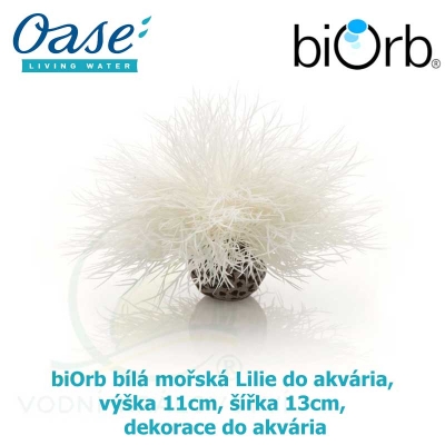 biOrb bílá mořská Lilie do akvária, výška 11cm, šířka 13cm dekorace do akvária