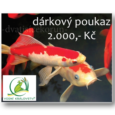 Dárkový poukaz Vodní Království v hodnotě 2000 Kč