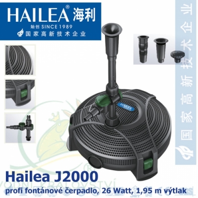 Hailea J 2000