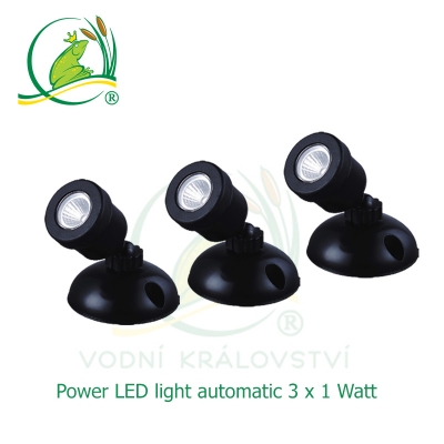 Power LED light 3x1 Watt automatic
