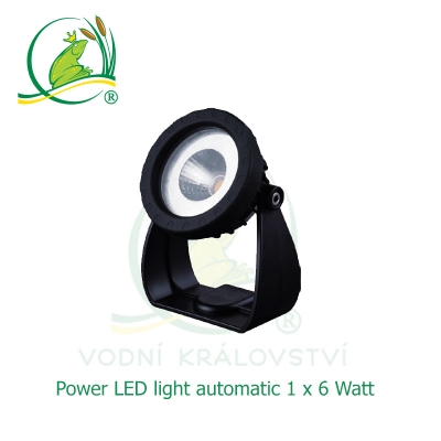 Power LED light 1x6 Watt automatic