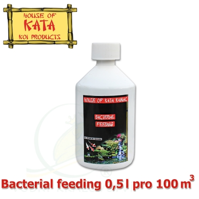 Bacterial feeding